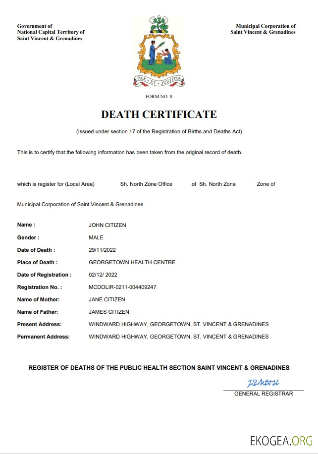 Acte d'état civil de Saint-Vincent-et-les Grenadines, modèle Word et PDF 1 template